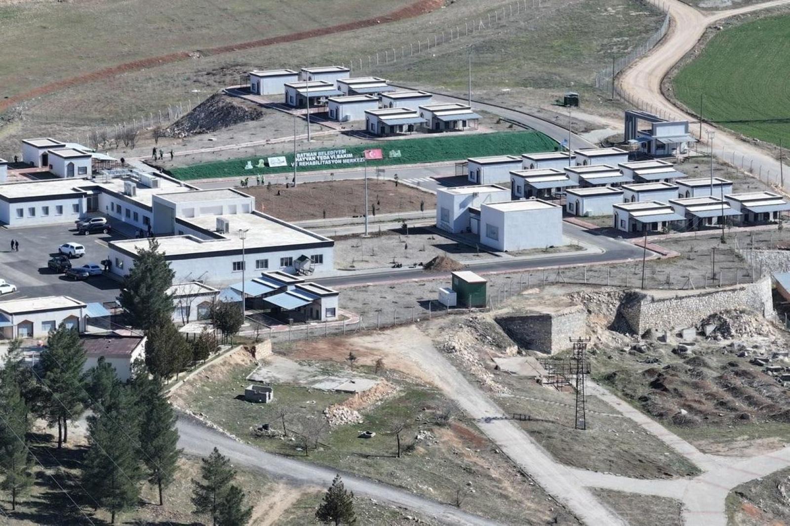 HAYVANLAR KORUNAKLI ALANDA BULUNUYOR