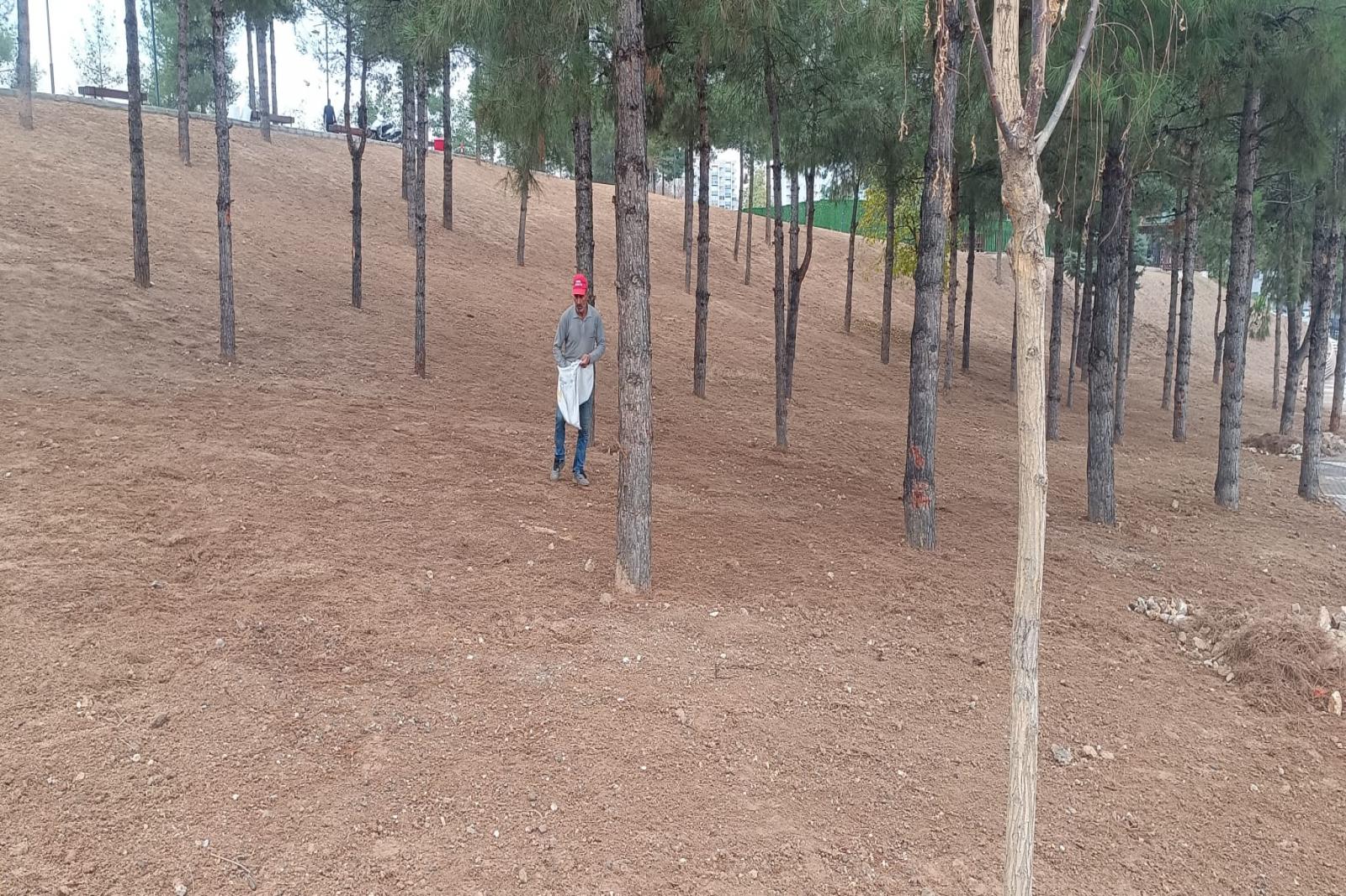 YAŞAR KEMAL KENT PARKI’NDA ÇİMLENDİRME ÇALIŞMALARI SÜRÜYOR